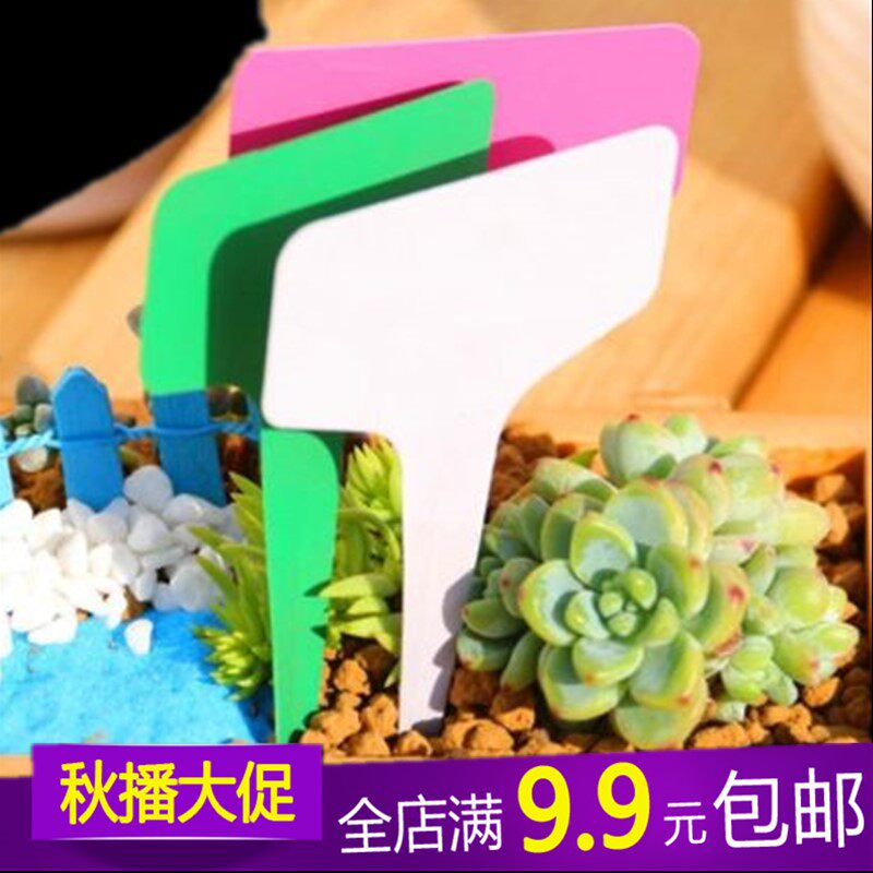 Succulent Label plate ornament waterproof gardening Identification cards flowers and plants Succulent plants Name Inserted cardin the Flower delivery/Flowers simulation/Plants gardening , Gardening supplies , Other Garden Supplies  category - from Buy2taobao.com to provide professional Taobao agent buy service