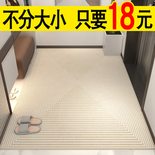 入户门地垫室内换鞋 区现代简约风进门门口玄关地毯防水防滑可裁剪
