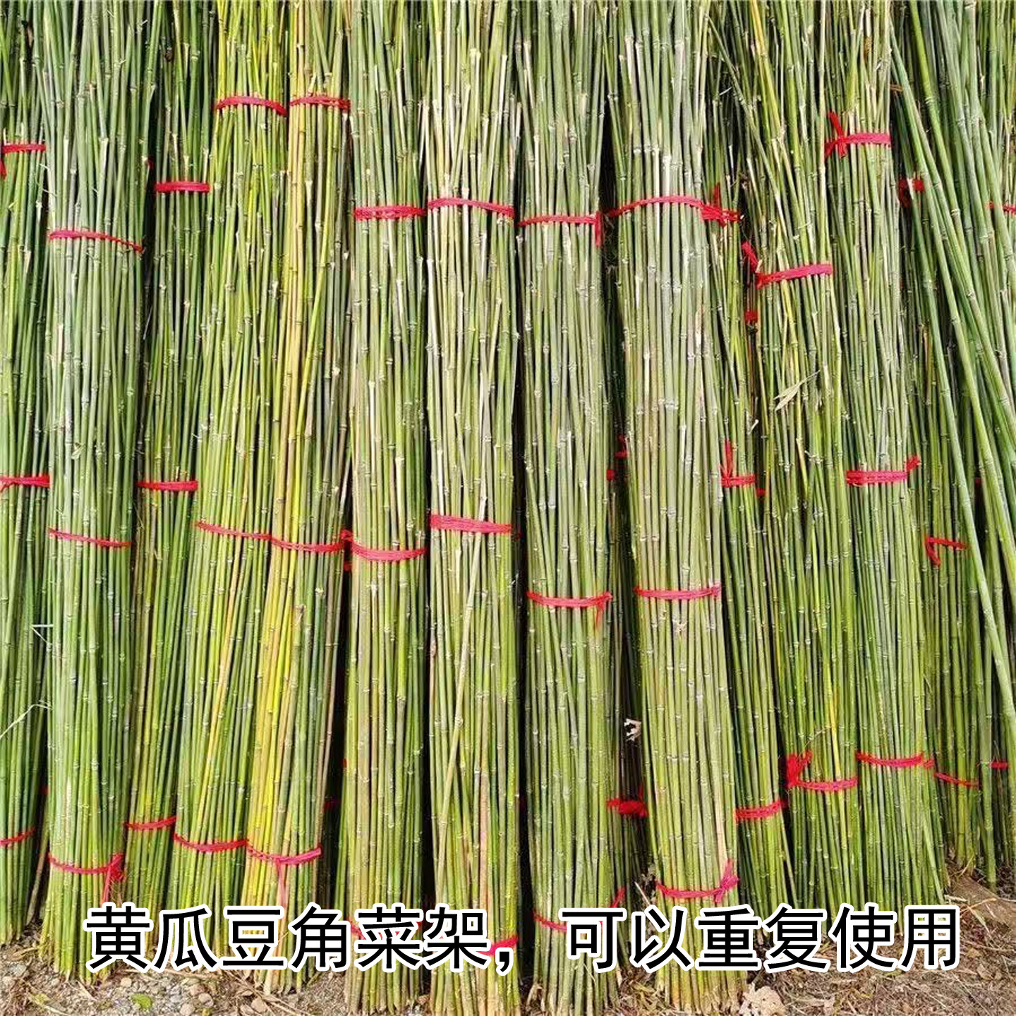 家用菜园庭院围栏搭架杆稳固耐用