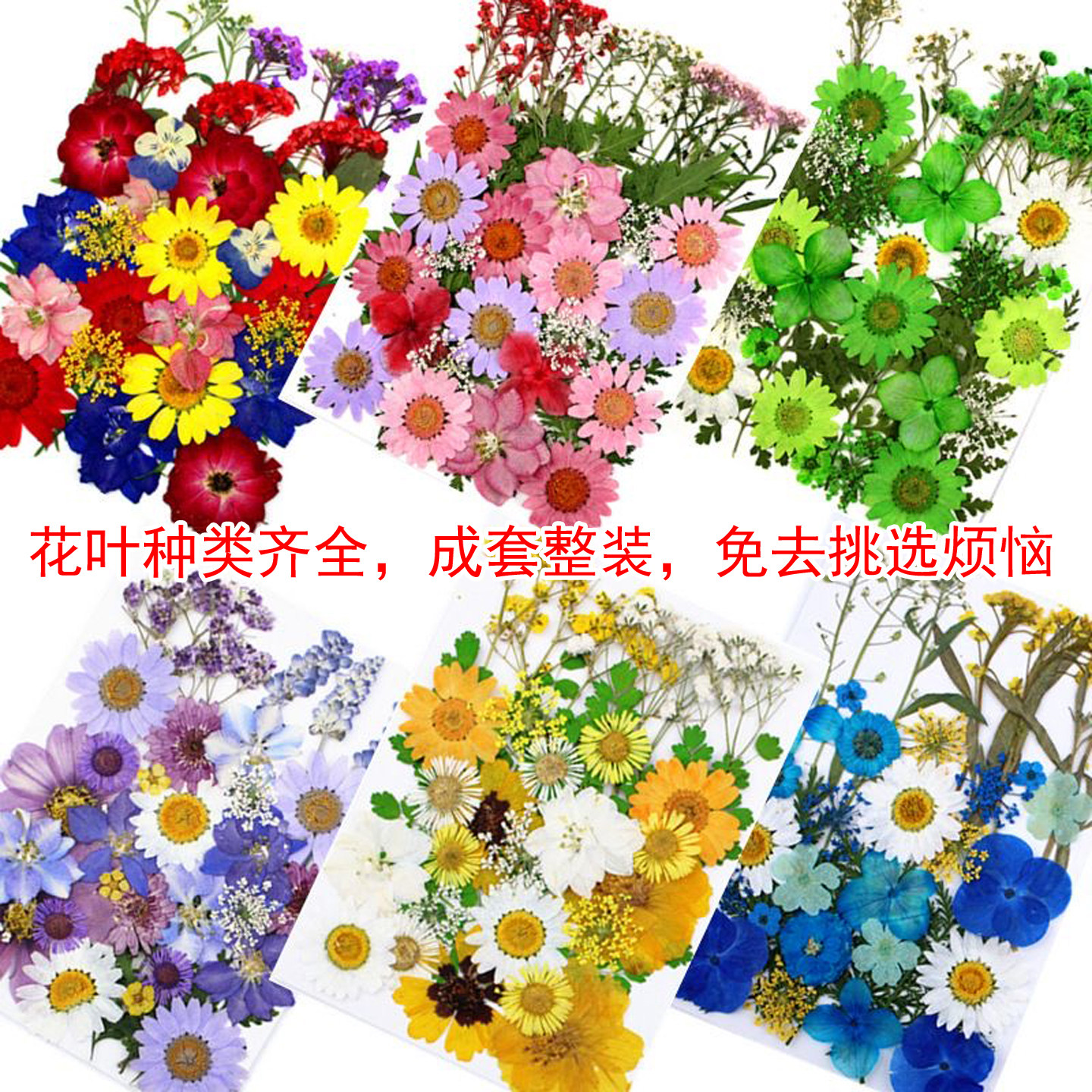 多形状叶片材料包齐全干叶组合创意 DIY 相框布景短视频拍摄装饰