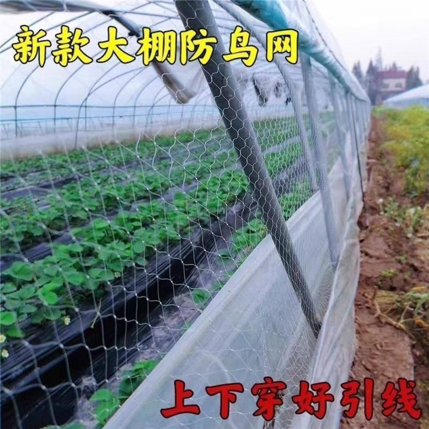 尼龙加粗防鸟网不易勾丝果园用