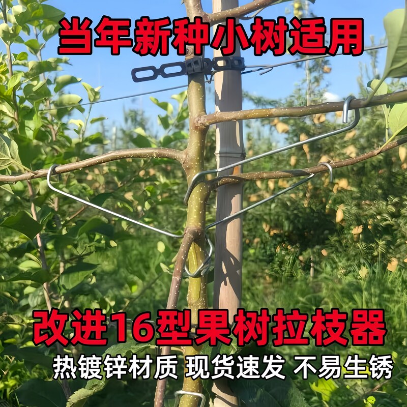 新款果树拉枝器开角器拉枝神器树枝加长定型器专业压枝别枝果园林