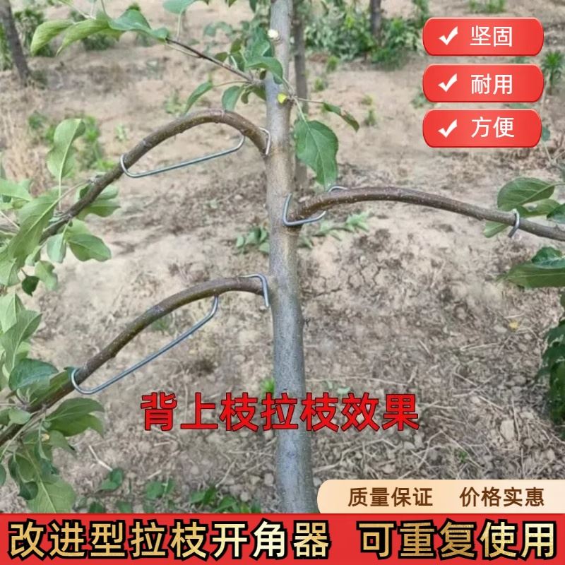 拉枝器改进型开角器拉枝神器别枝枝条固定器果树拉树枝神器拉直器