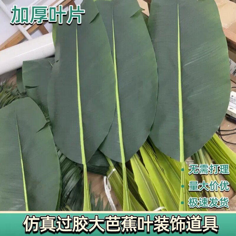 仿真芭蕉叶绿树叶滴水观音叶绿叶香蕉叶舞蹈道具用品铁树叶龟背叶