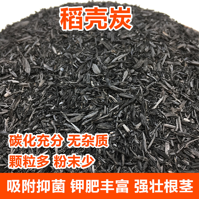 rte其他ho/向花七阳日葵叉太,024