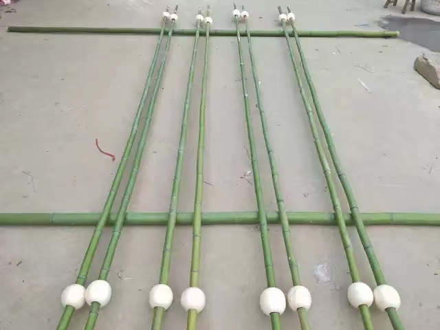 跳舞竹竿舞专用竹竿跳舞幼儿园跳舞用竹竿小学生舞蹈竹杆长竹子