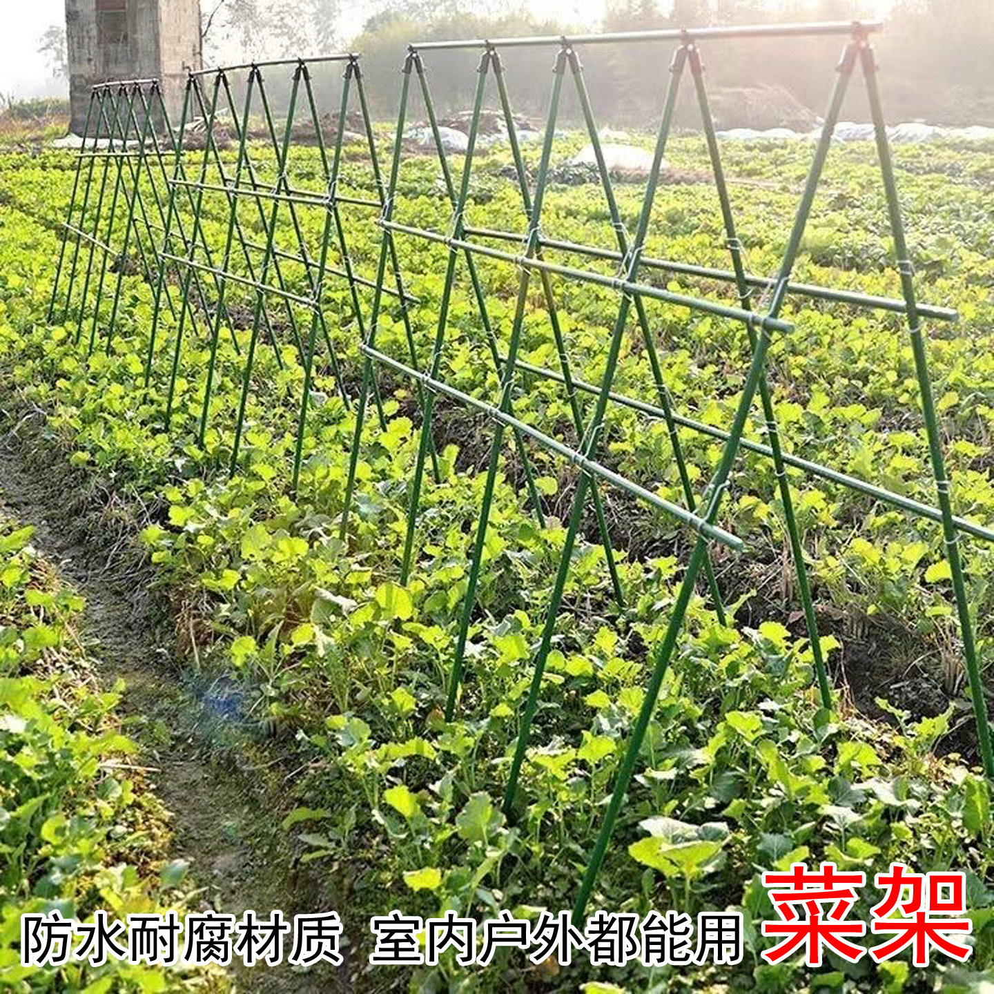 多功能包塑钢管爬藤立柱稳固耐磨家用菜园黄瓜芸豆百香果攀爬支撑