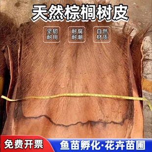 棕树皮爬藤棕皮棕榈树皮柱子棕树叶绿萝粽树皮山棕榈编织龟背竹