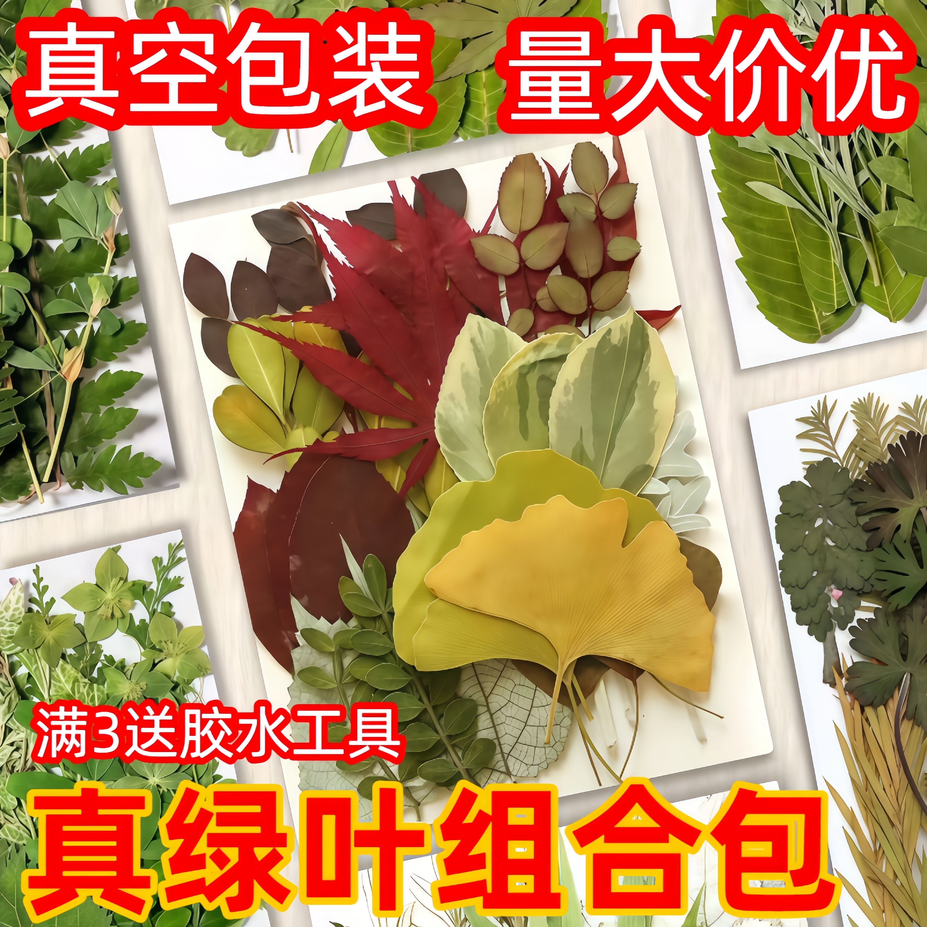 真树叶植物标本幼儿园手工贴画干花压花DIY材料包贴脸装饰干花妆图片