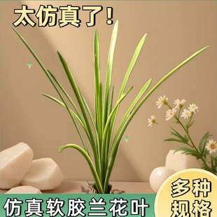 仿真花软胶手感湿润兰花叶惠兰叶蝴蝶兰叶兰花草麦苗插花盆栽花材