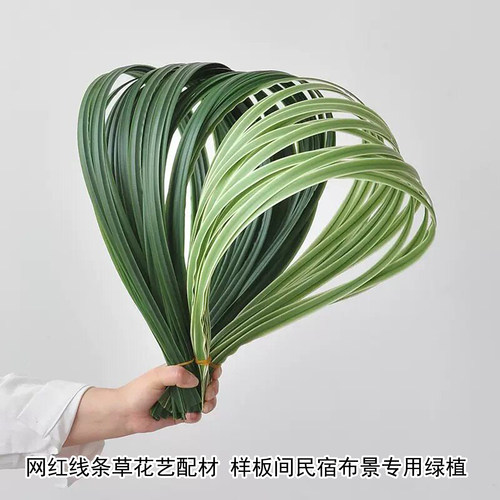 仿真线条草绿植花艺配材桌面摆设森系空间布景客厅玄关软装装饰假