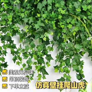 爬山虎壁挂长青仿真植物假花藤条藤蔓装饰绿植墙空调树叶吊篮绿萝