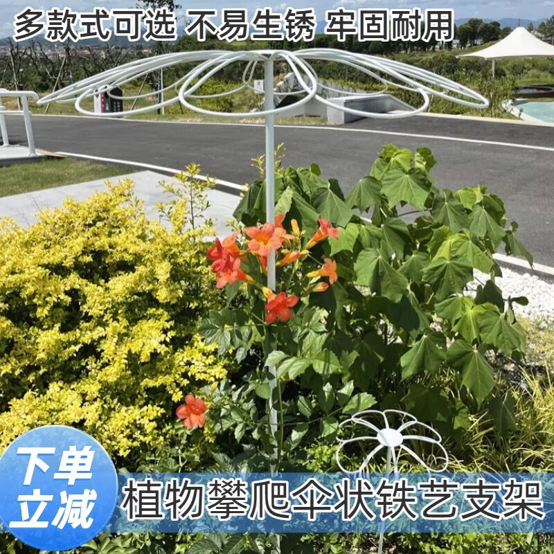 月季山乌龟铁线莲伞形棒棒糖花架爬藤架子植物攀爬支架支撑杆铁艺