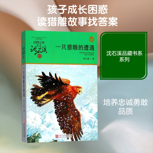 一只猎雕的遭遇 浙江少年儿童出版社 沈石溪 著 著