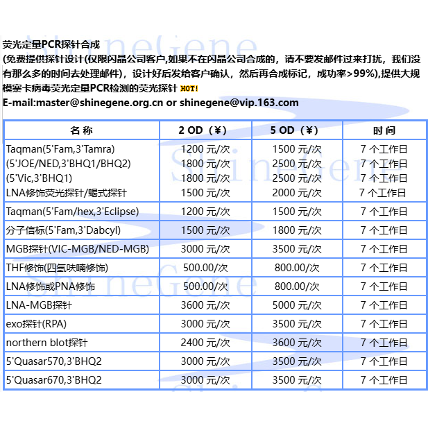 分子信标MGB探针LNA修饰