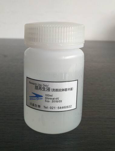 Western Blot 耗材 洗脱抗体缓冲液(膜再生液)