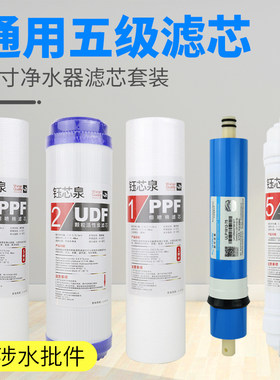 净水器滤芯朗泰净水机家用浪潮