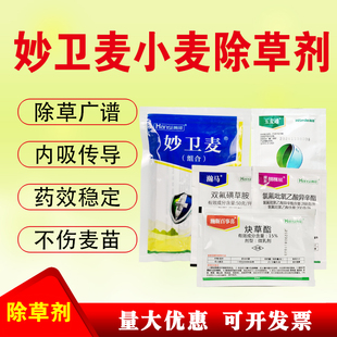 小麦田专用除草剂野燕麦雀播娘蒿猪殃殃荠菜看麦娘禾阔双除除杂草