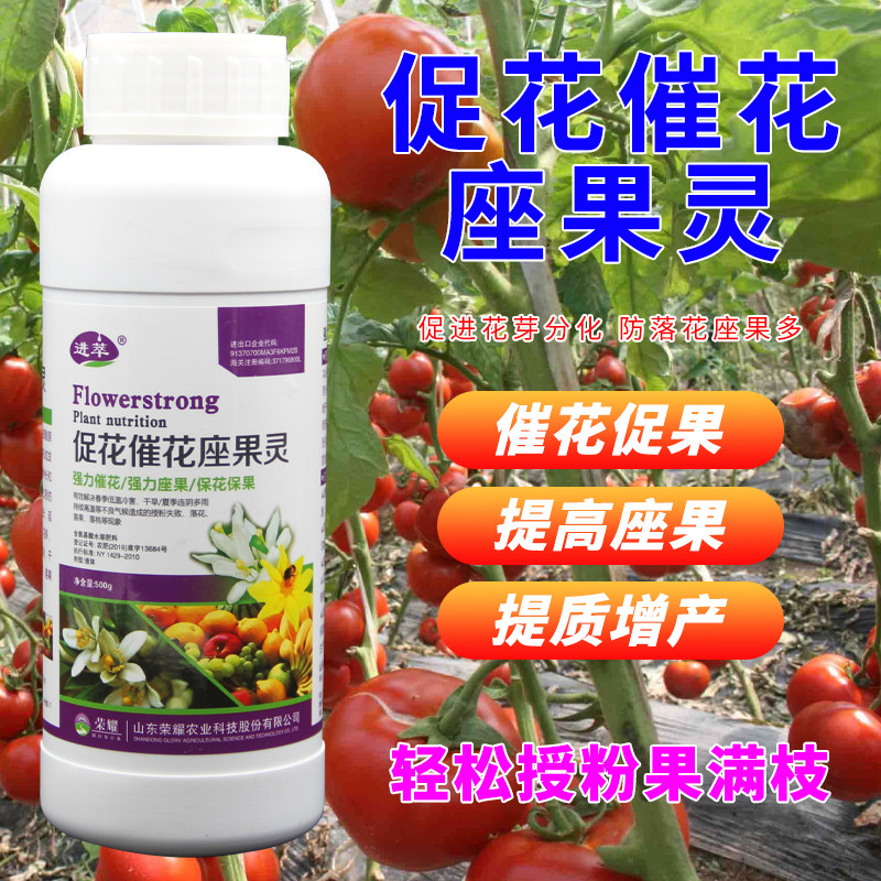 座果灵保花保果药防落素叶面肥樱桃授粉精坐果精丰产灵番茄坐果灵