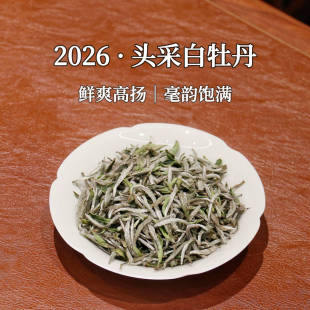 市锦正宗2026年福鼎白茶特级明前白牡丹王磻溪高山头采花香春茶散