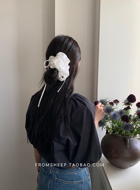 FromSheep~法式白色蝴蝶结飘带大肠发圈女韩系精致高级感蕾丝发绳