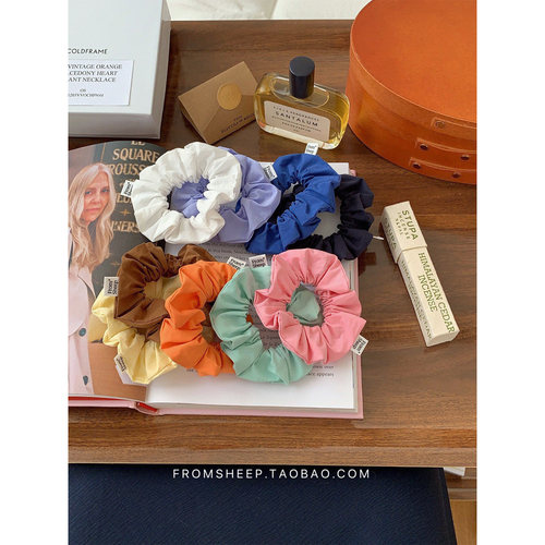 韩系显白吸晴彩亮色马尾大肠发圈