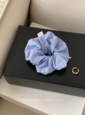 定制款~巨好看的蓝色大肠发圈女2026正流行头绳高级感轻奢风发绳