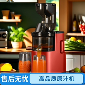 榨汁机小型家用渣汁分离全自动多功能商用果汁机大口径果蔬原汁机