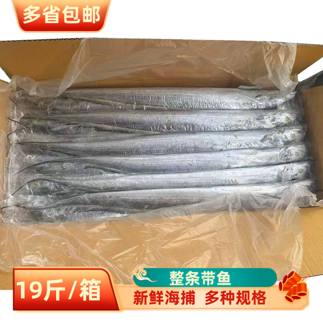 东海特大带鱼19斤商用整条带鱼A带冷冻新鲜海鲜水产大带鱼刀鱼