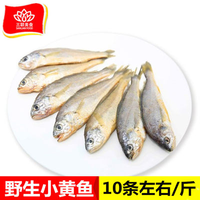 黄花鱼5斤海鲜新鲜冷冻海捕鱼深海水产鲜活海鱼生鲜小黄鱼48条
