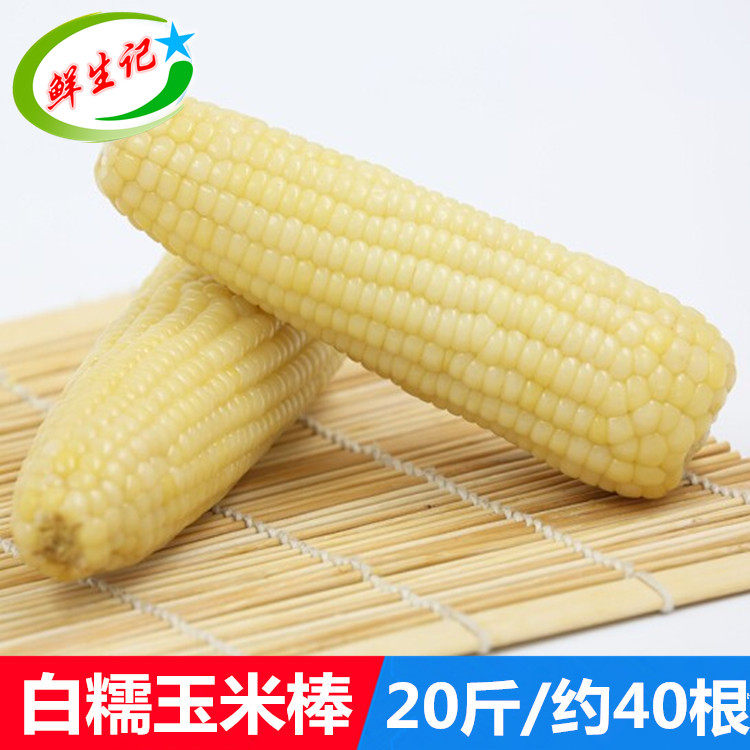 新鲜冷冻玉米棒40支 东北速冻粘糯生玉米棒 农家甜糯白玉米棒包邮