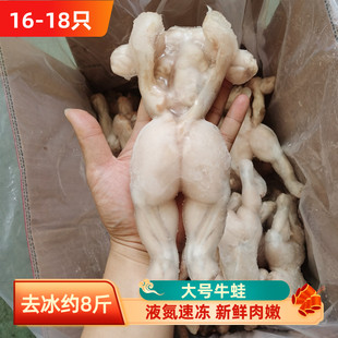 鲜冻大牛蛙10斤新鲜冷冻去皮大牛蛙油炸烧烤火锅商用免处理牛蛙肉
