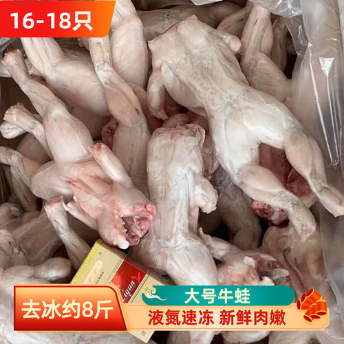 新鲜冷冻牛蛙商用油炸烧烤