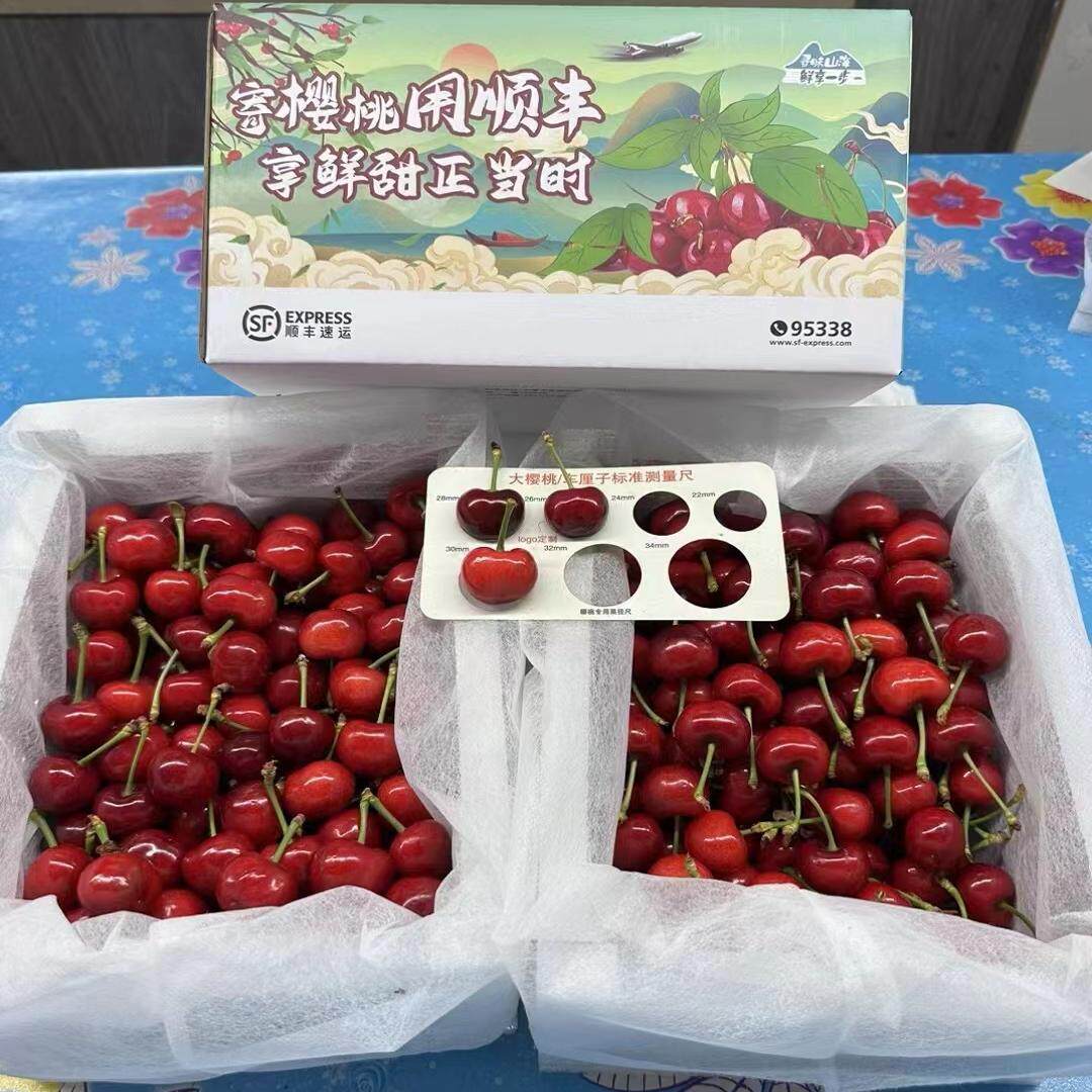 现货大连露天红灯大樱桃新鲜水果大樱桃孕妇儿童当季整箱顺丰包邮