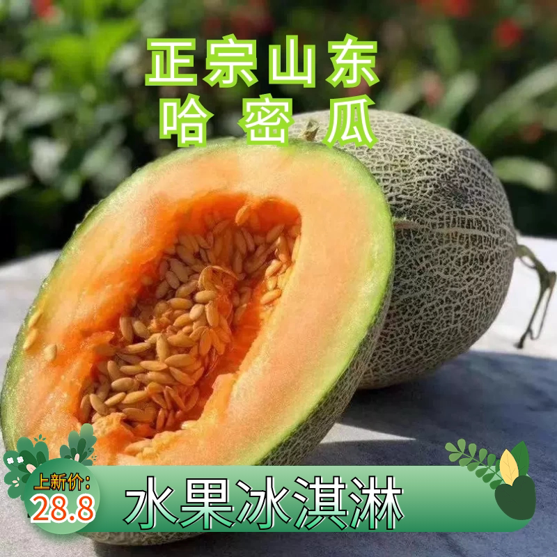 海南蜜哈密瓜10斤海南当季水果整箱冰淇淋网纹甜瓜蜜瓜