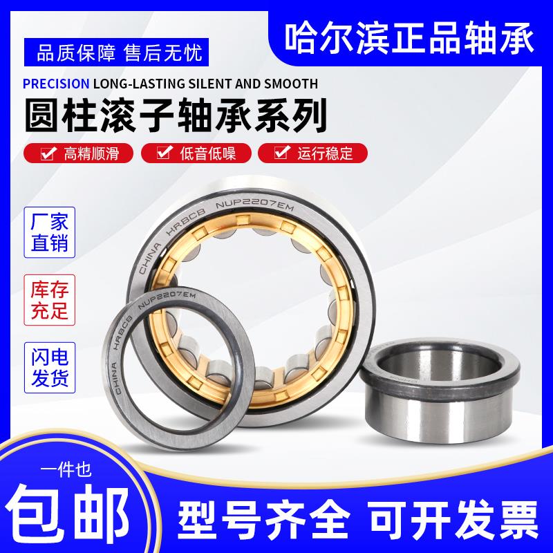 哈尔滨圆柱滚子轴承 RN 306 307 308 309 310 311 312 313 319 EM
