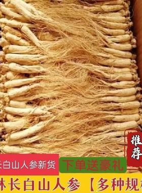 东北2克人参小干人参干参老人参白参生晒参煲汤材料泡水泡酒滋补