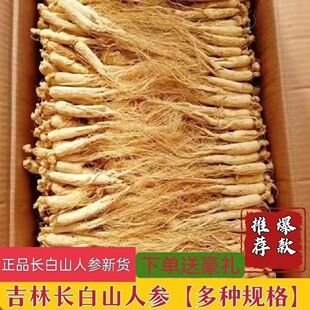 正品批发人参3克长白山干参100根生新鲜煲汤材料水泡滋补泡酒批发