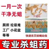 除蛆杀虫颗粒剂灭蚊蝇蠓蚋幼虫蛆厕所旱厕粪池蛆杀蛆灭孑孓药粪坑