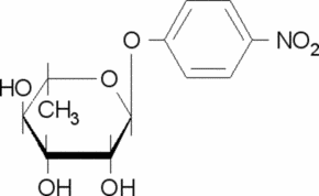 4-硝基苯基-α-L-吡喃鼠李糖苷