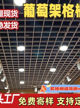 铝格栅吊顶铁格栅吊顶网格方格子店铺天花吊顶黑色葡萄架材料自装