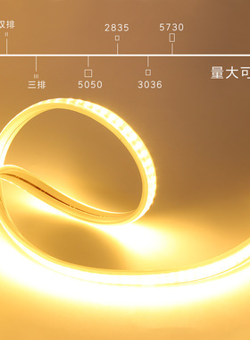 220V灯带led吊顶藏光线条灯户外防雨亮化照明高亮柔性软灯条2835
