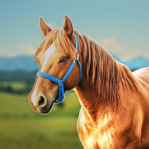 HorseStar稳定生活代练代打