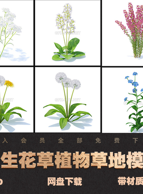C4D野生花草植物草地绿色花朵菊花草垛3D模型素材MAX FBX OBJ格式