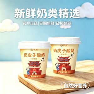 紫鸢奶皮子酸奶原味酸奶120g*6杯