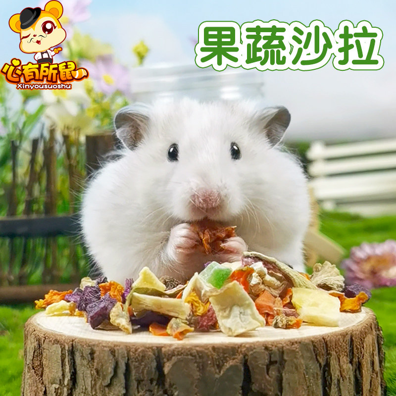 果蔬沙拉仓鼠小零食龙猫豚鼠荷兰猪兔子饲料蔬菜兔粮水果干粮食