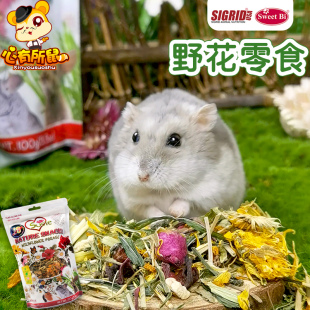 SweetBi碧甜花园野花零食兔子龙猫豚鼠荷兰猪仓鼠饲料