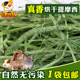 烘干提摩西草兔子草粮提草豚鼠饲料荷兰猪饲草牧草龙猫粮干草垫料