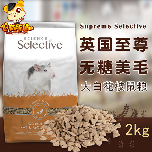 粮三角鼠花枝素材模板 粮三角鼠花枝图片下载 小麦优选