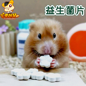 益生菌片100片仓鼠西施熊荷兰猪豚鼠兔子龙猫调理肠胃助消化